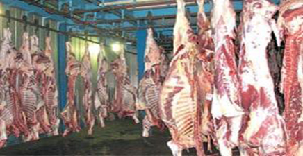 پیش‌بینی تولید 37 هزار تن گوشت قرمز در استان کرمانشاه