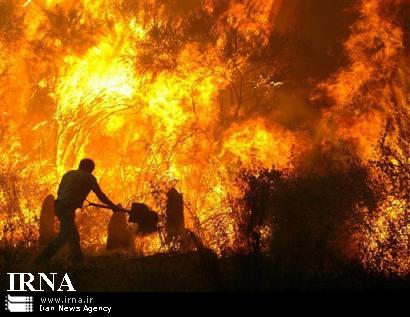  علت بیشتر آتش سوزی ها در شهرستان روانسر آتش زدن پس چرای مزارع است