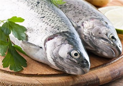 تولید ماهی در استان کرمانشاه ۵۳ درصد افزایش می‌یابد 
