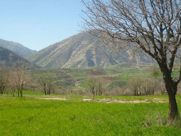 	چهار فصل منطقه گردشگری شروینه از توابع شهرستان جوانرود 