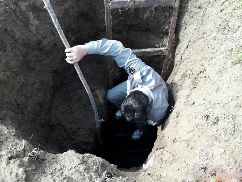 یک قلاده راسوی گرفتار در چاه نجات یافت