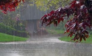 بارش بیش از 10 میلیمتری باران در شهرستان سرپل ذهاب 