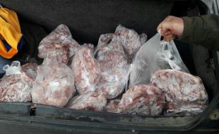 کشف و ضبط ۱۲۰۰ کیلوگرم گوشت ناسالم در کرمانشاه 