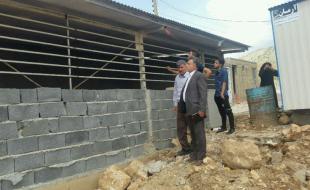 احداث 146 واحد دامی در روستاهای زلزله زده سرپل ذهاب
