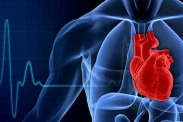 شدت بیماری قلبی به میزان اکسید نیتریک بدن وابسته است