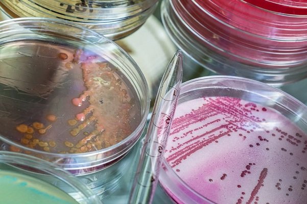 شناسایی یک نوع آنتی بیوتیک جدید