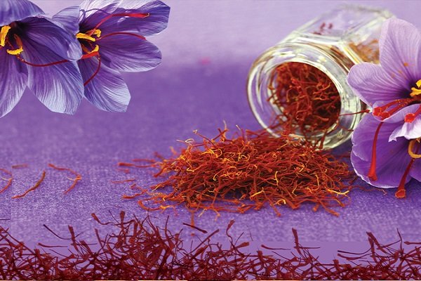  تولید قرص زعفران برای مهار سلول‌های سرطانی