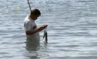  مرگ ماهی‌گیر جوان در هرسین بر اثر برق گرفتگی 