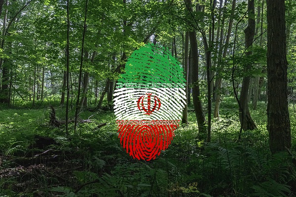 نقش پویش ملی نهال کاری همگانی برای ایرانی سبز در شهرستان صحنه 