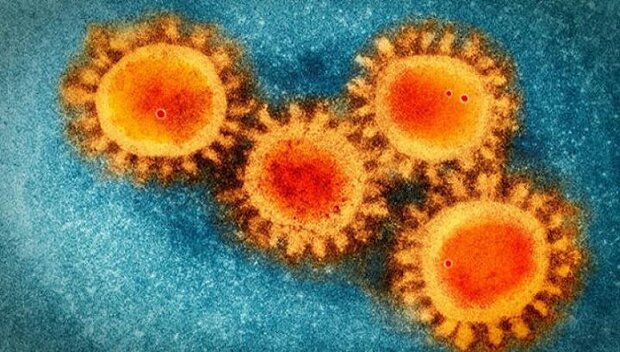 کروناویروس تا ۹ ساعت روی پوست انسان زنده می ماند