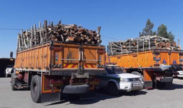  کشف 20 تن چوب قاچاق در شهرستان سنقر/ دو دستگاه کامیون توقیف شد