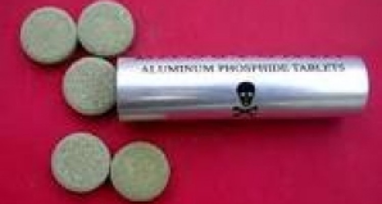 افزایش 73 درصدی مسمومیت با قرص برنج در کرمانشاه