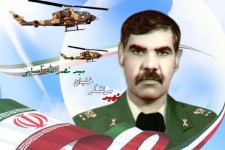 شکار پرنده تیزپرواز هوانیروز در آشیانه