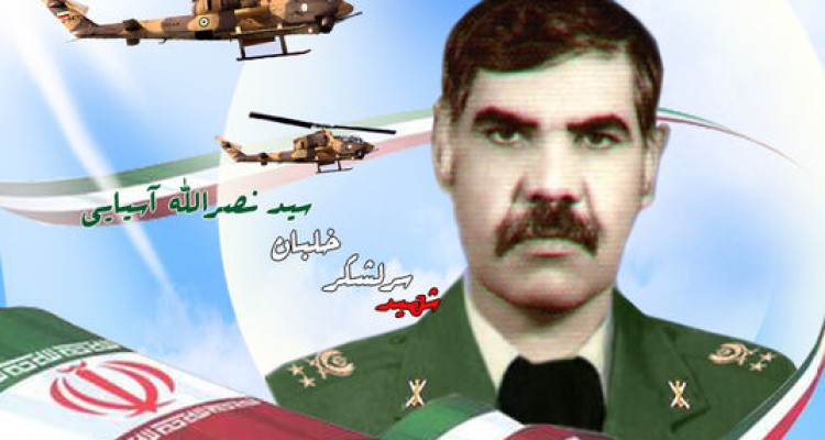 شکار پرنده تیزپرواز هوانیروز در آشیانه