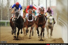 مسابقات اسب سواری کورس بهاره کرمانشاه قهرمانان خود را شناخت