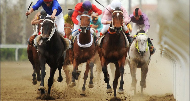 مسابقات اسب سواری کورس بهاره کرمانشاه قهرمانان خود را شناخت