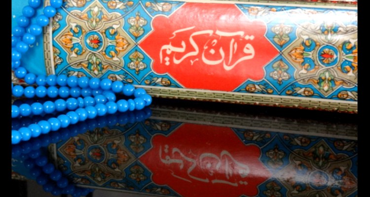 از دیدن این تصاویر زیبا لذت ببرید / تصاویر ارسالی 18