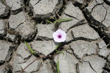 کاهش بارندگی کرمانشاه 2 برابر میانگین کشور است درگیر خشکسالی هستیم