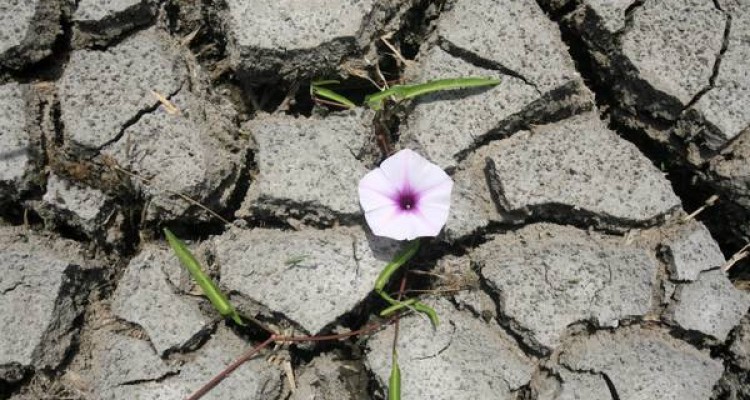 کاهش بارندگی کرمانشاه 2 برابر میانگین کشور است درگیر خشکسالی هستیم