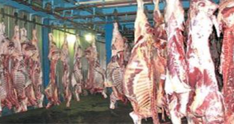 پیش‌بینی تولید 37 هزار تن گوشت قرمز در استان کرمانشاه