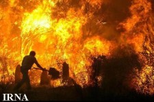  علت بیشتر آتش سوزی ها در شهرستان روانسر آتش زدن پس چرای مزارع است