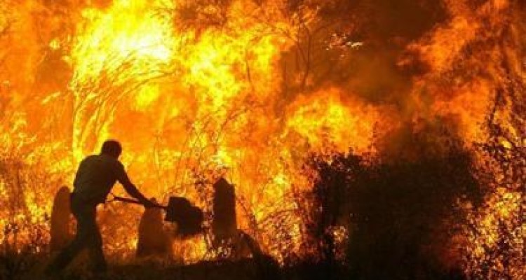  علت بیشتر آتش سوزی ها در شهرستان روانسر آتش زدن پس چرای مزارع است