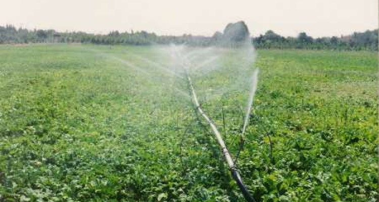  بیش از یک میلیارد ریال اعتبار برای اجرای طرح سامانه آبیاری تحت فشار گیلانغرب اختصاص یافت