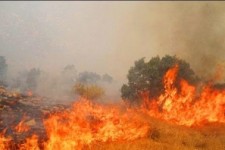 30 هکتار از جنگلها و مراتع کوه کچل و قلاجه گیلانغرب سوخت/ شایعه آتش سوزی تعمدی