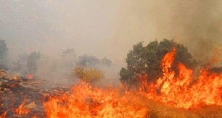 30 هکتار از جنگلها و مراتع کوه کچل و قلاجه گیلانغرب سوخت/ شایعه آتش سوزی تعمدی