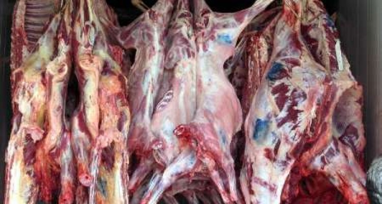 اعطای کد حلال به کشتارگاه بیستون کرمانشاه