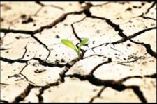 کرمانشاه 1200 لیتر در ثانیه کمبود آب دارد