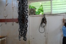 وضعیت بهداشتی اسفبار تنها کشتارگاه روانسر/ اینجا دامها به مرگ راضی هستند