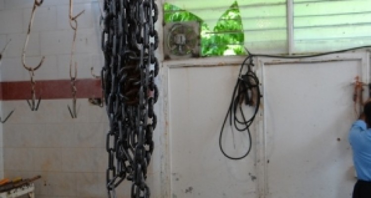 وضعیت بهداشتی اسفبار تنها کشتارگاه روانسر/ اینجا دامها به مرگ راضی هستند