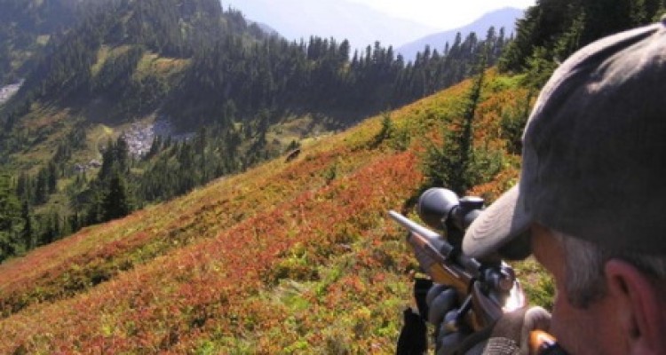  جریمه شکار جانوران وحشی به بیش از پنج برابر افزایش یافت