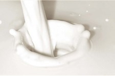 افزایش 10 درصدی قیمت‌ لبنیات/ شیر، ماست و پنیر گران می‌شود