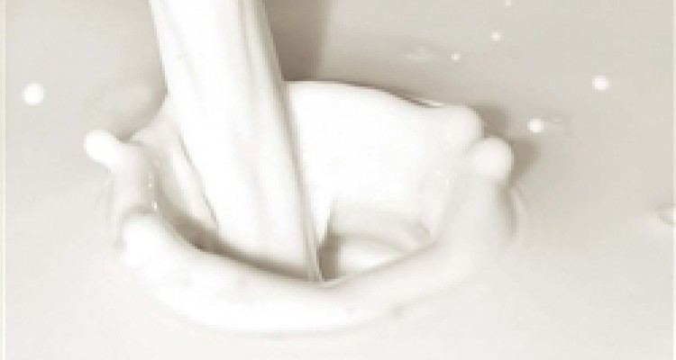 افزایش 10 درصدی قیمت‌ لبنیات/ شیر، ماست و پنیر گران می‌شود