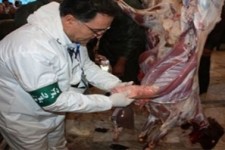 مورد ابتلا به بیماری کشنده تب کریمه در کرمانشاه مشاهده نشده است