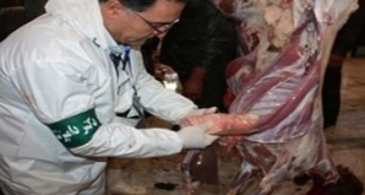 مورد ابتلا به بیماری کشنده تب کریمه در کرمانشاه مشاهده نشده است