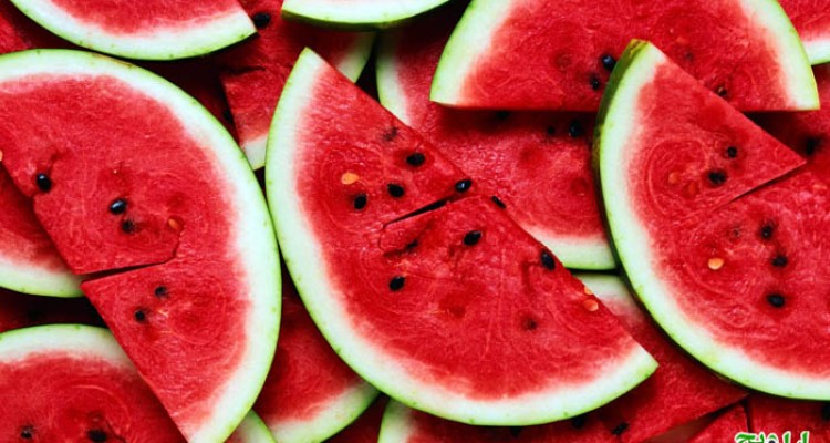   عرب سبب خیر شد!