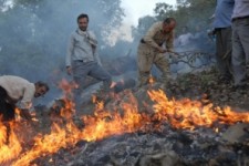 آتش سوزی مراتع دالاهو مهار شد/ ۴۰۰ هکتار مرتع و جنگل سوخت