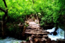 دیگر صدای ریزش آب از «ریژآو» نمی‌آید