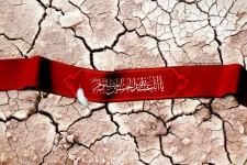 یادواره شهدای کارمند استان کرمانشاه برگزار می‌شود