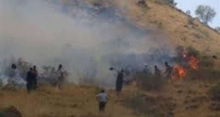 سوختن بیش 32 هکتار از مراتع و اراضی جنگلی شهرستان روانسر از ابتدای سال 94 