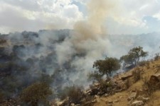 	ژانر وحشت آتش سوزی جنگل های گیلانغرب به قسمت سیزدهم رسید + تصاویر 