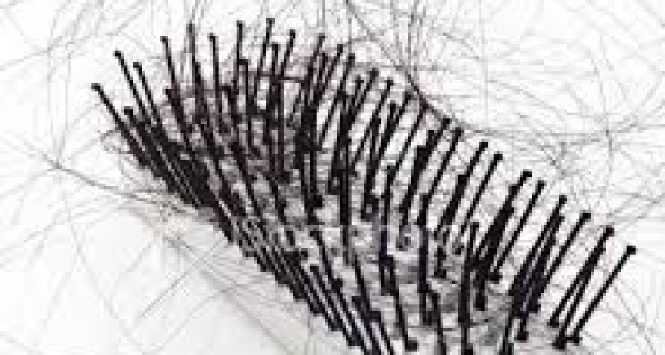  چرا موهای مردها می‌ریزد؟ 