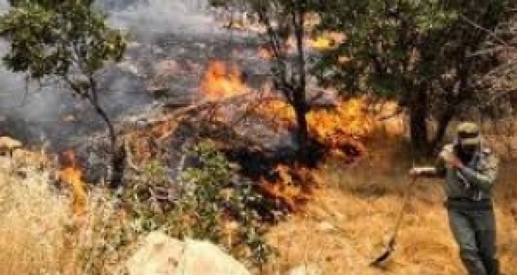 مهار کامل آتش سوزي در 10 هکتار از جنگلها و مراتع دهستان بدر شهرستان روانسر 