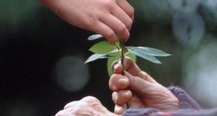  علت بخشیدن دیگران و مراحل بخشش 