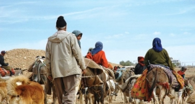 	تیغ تیز دلالان بر گلوی زندگی مرتع نشینی/ وقتی کوچرو بودن دیگر به صرفه نیست 