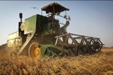 	۷۵ درصد مطالبات گندم کاران کرمانشاهی پرداخت شده است 