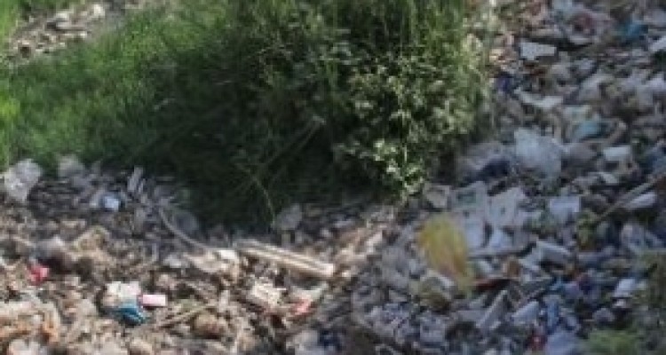 تراژدی بی سرپرستی الوند سوزناک تر می شود/ پاسکاری مشکلات یک رودخانه میان ادارات سرپلذهاب 